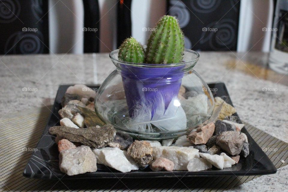 plato centro de mesa con piedras de diferentes tipos tarro de vidrio  y una maceta cactus y una pluma