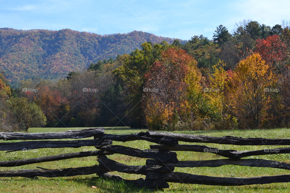 Fall in Beautiful Cade's Cove of the Smokey Mountains