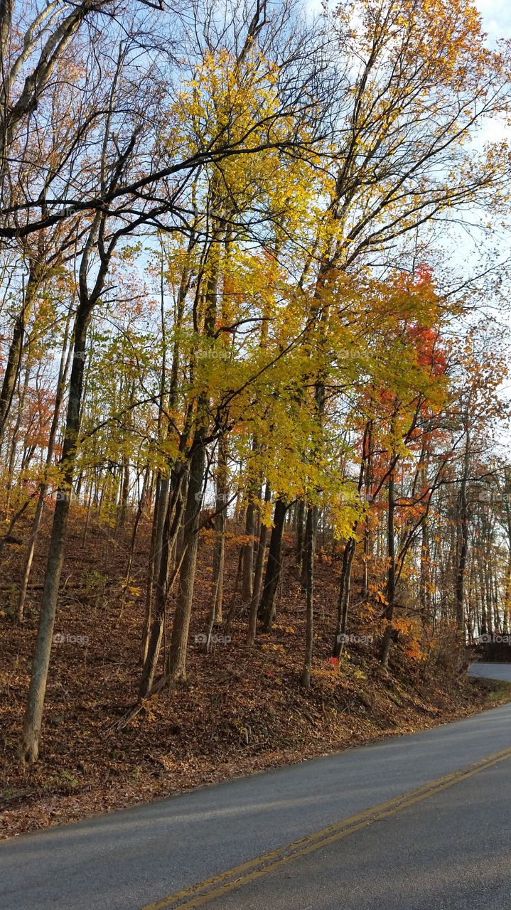 Sat drive in North Ga Mountains