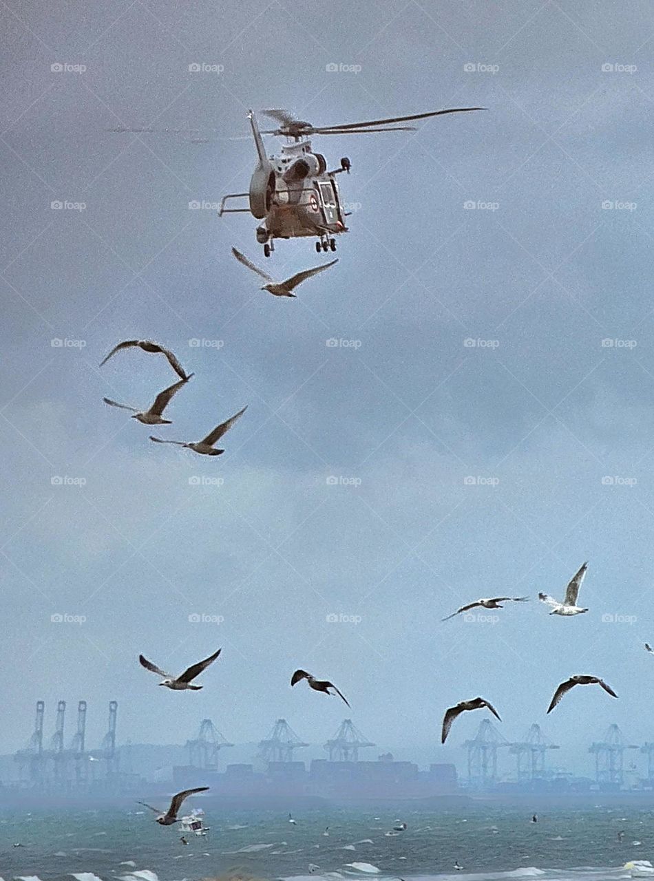 helicopter and seagulls