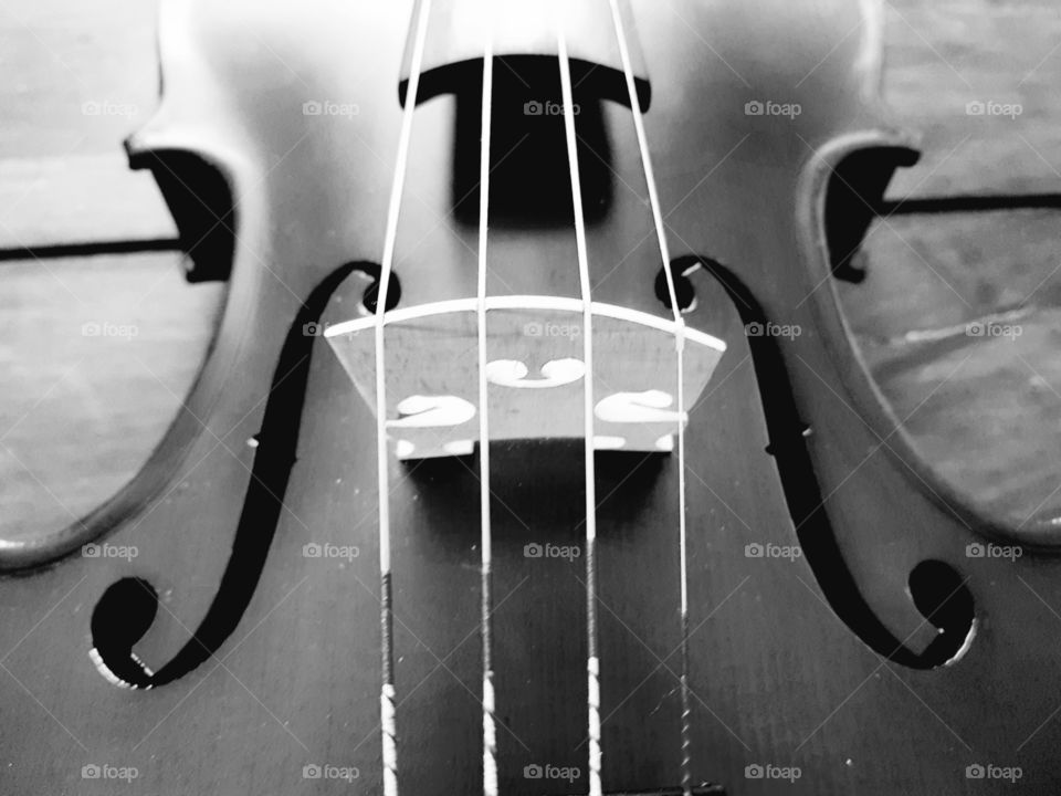 Detail of a violin, monochrome