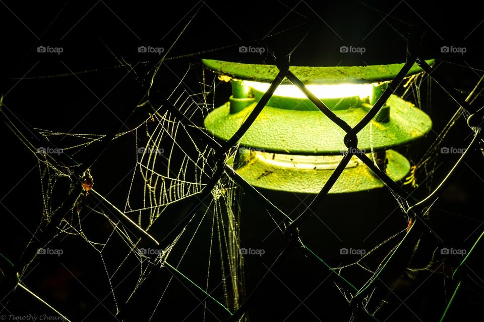 Green lantern in the dark of night. 