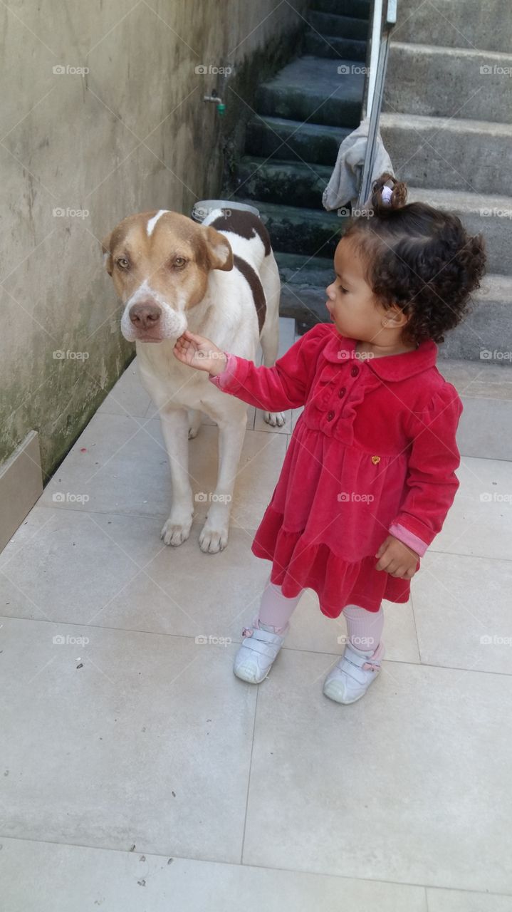An Affection Between Child and a Dog