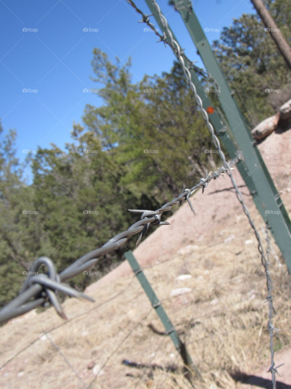 Barbed wire