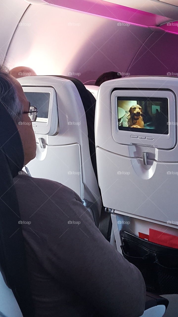 travel in flight entertainment