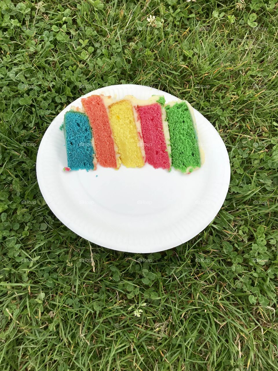 Big slice of rainbow cake set on a white paper plate  with a background of lush green grass