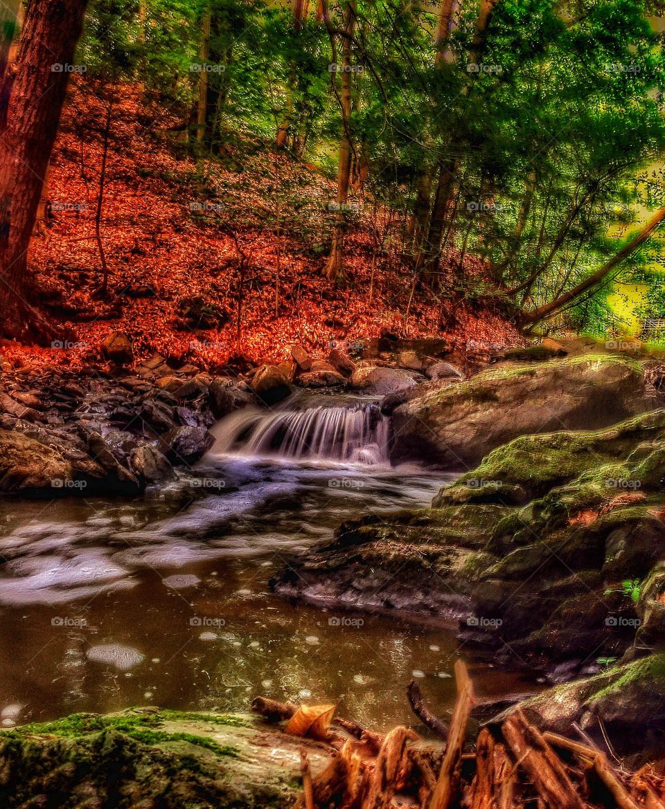 Scenic waterfall . A small, scenic waterfall in the forest 