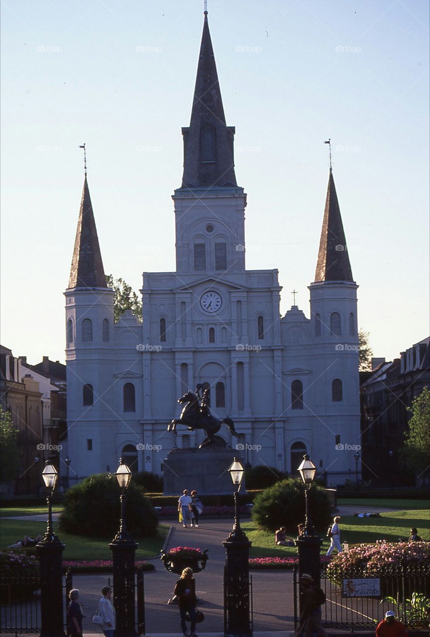 New Orleans St.Louis Cathedral palm trees