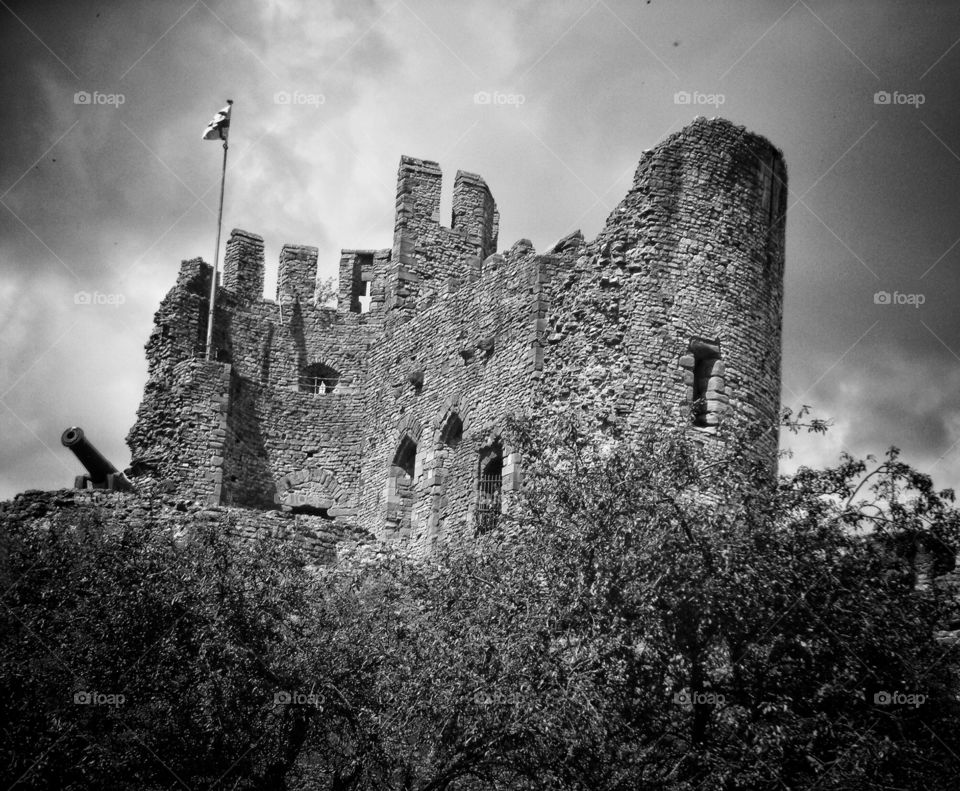 Dudley Castle 