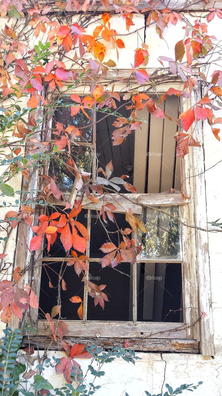 window of abandoned home