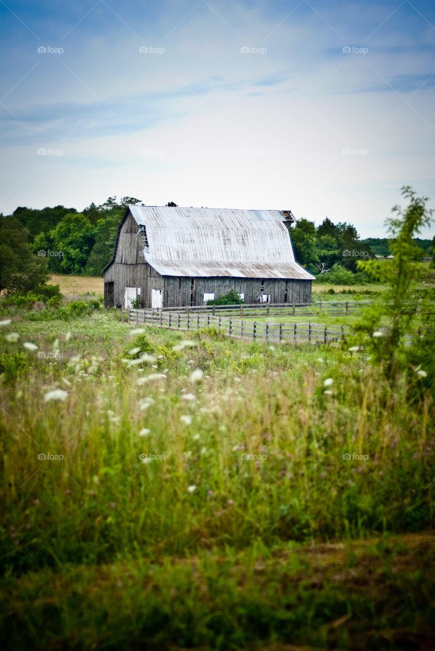 Country Life