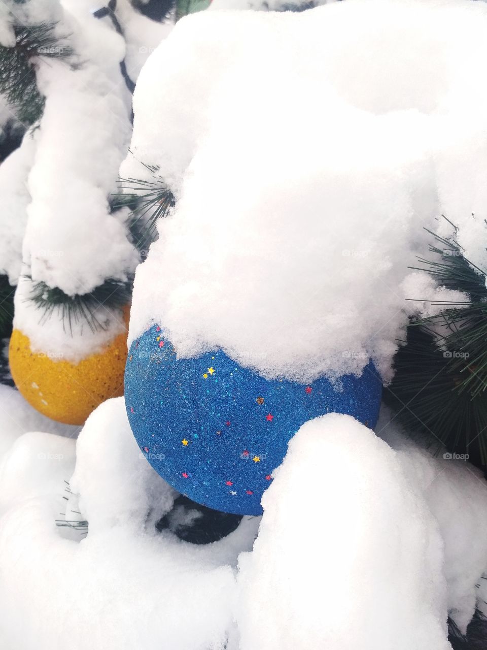 Заснеженные