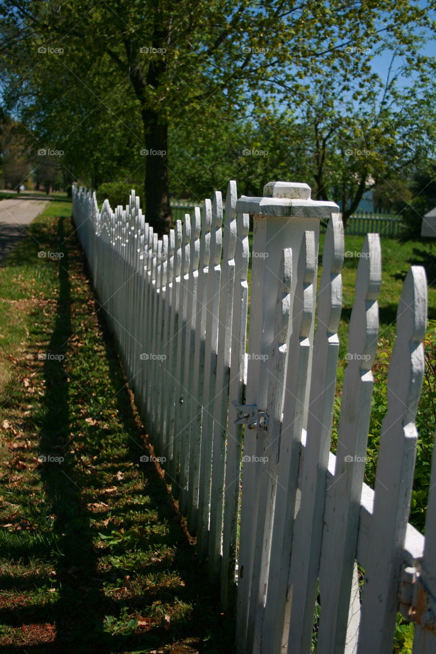 White Picket Fence