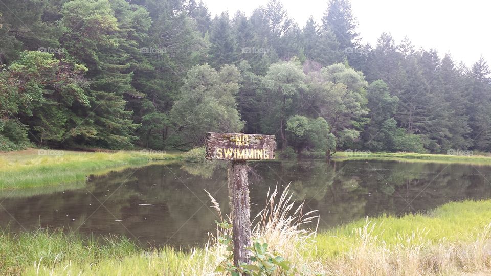 no swimming sign at lake