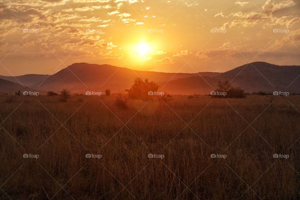Sunset over the bush
