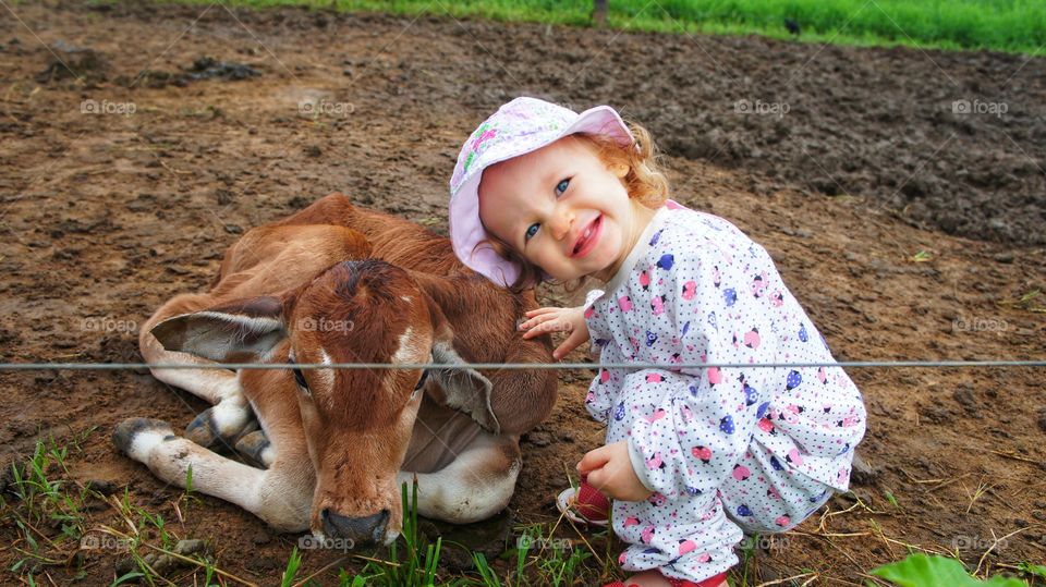 bezerro vaca gado rural criança roça