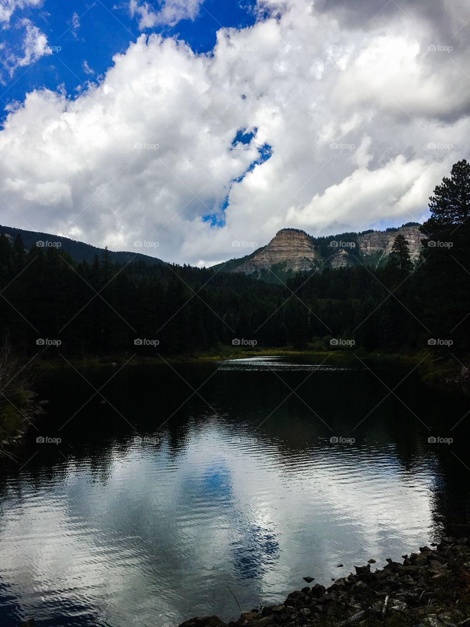 Lake reflection 