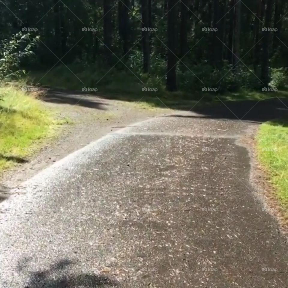 Efter regn kommer solsken