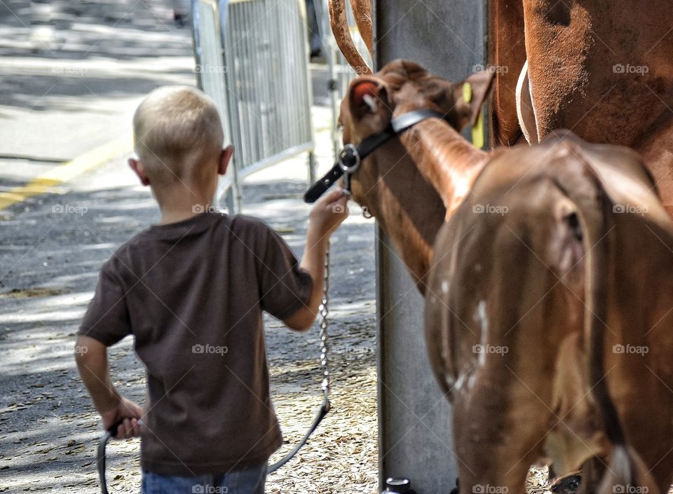 A Boy and His Cow