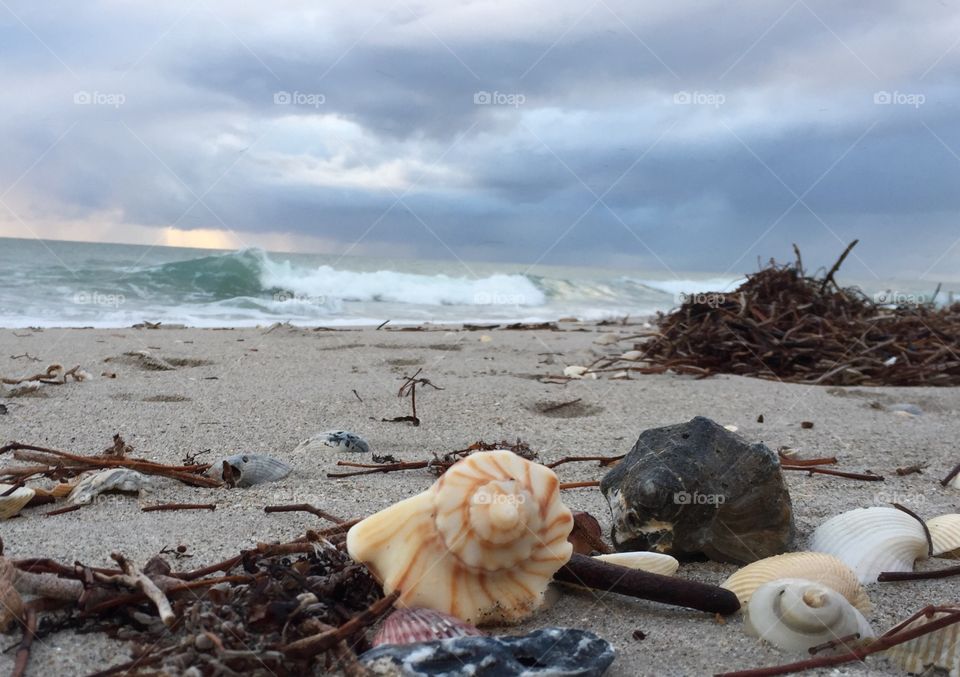 Wave. Sky. Storm. Cloud. Shells. Sea Shell. Ocean. Color. Beauty 