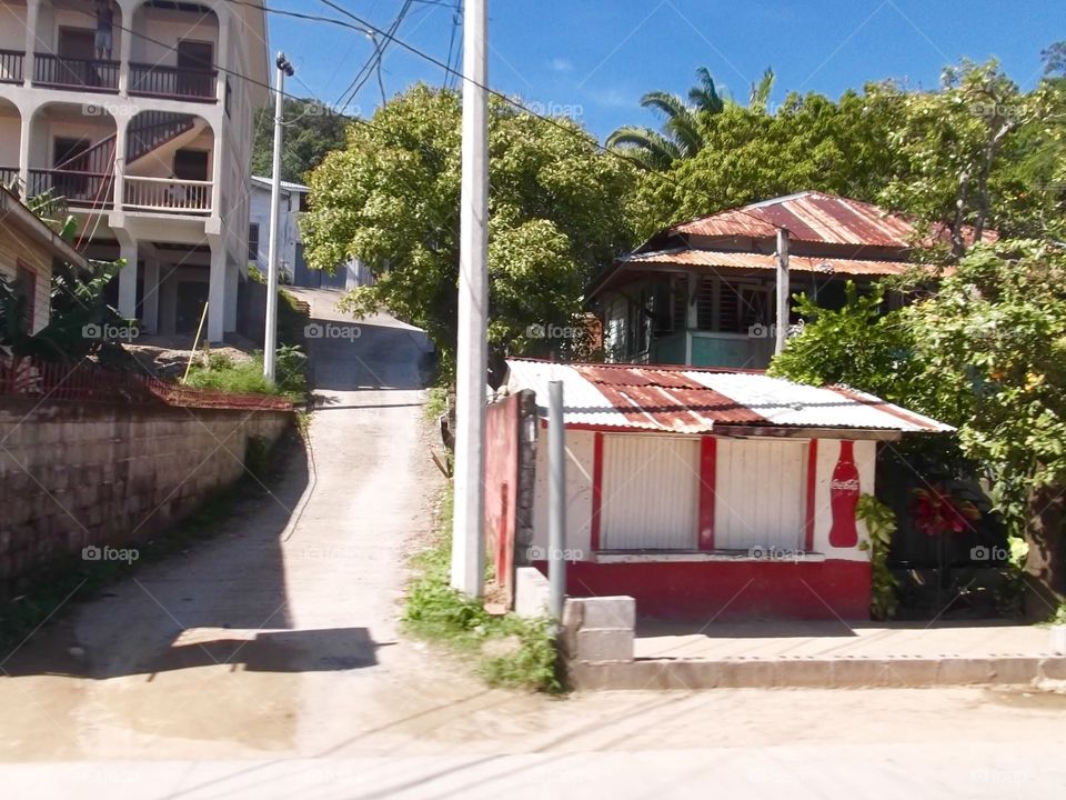 Photo from moving car traveling in Roatan, Honduras