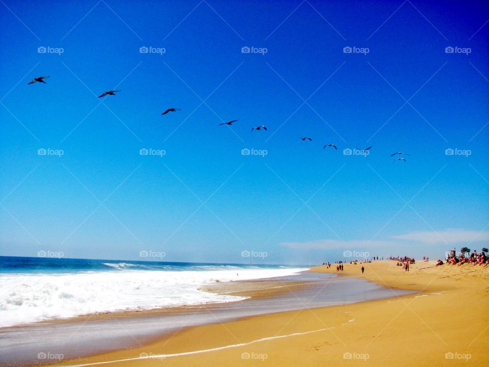 Scenic view of beach