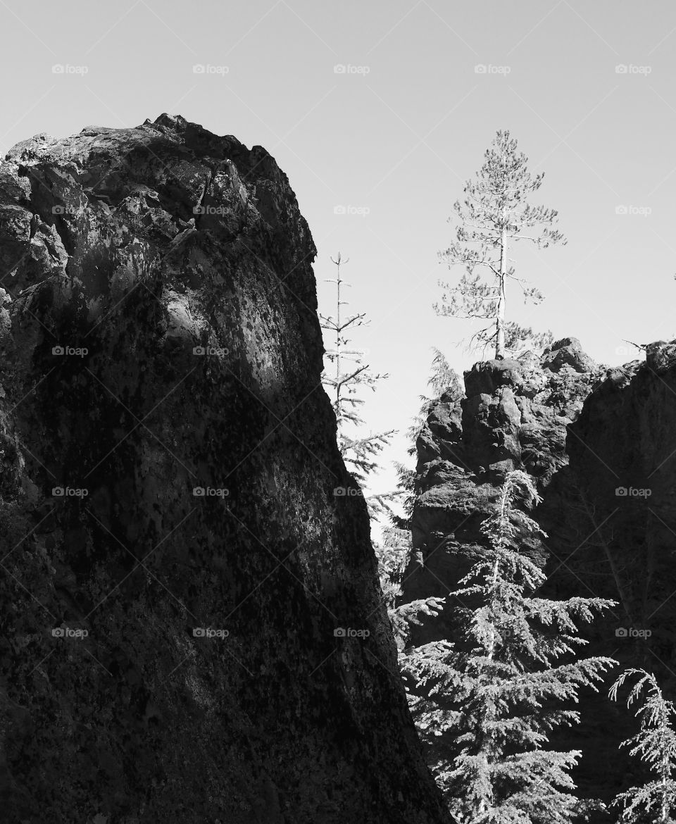 Beautiful trees amongst rugged geology in Southern Oregon 