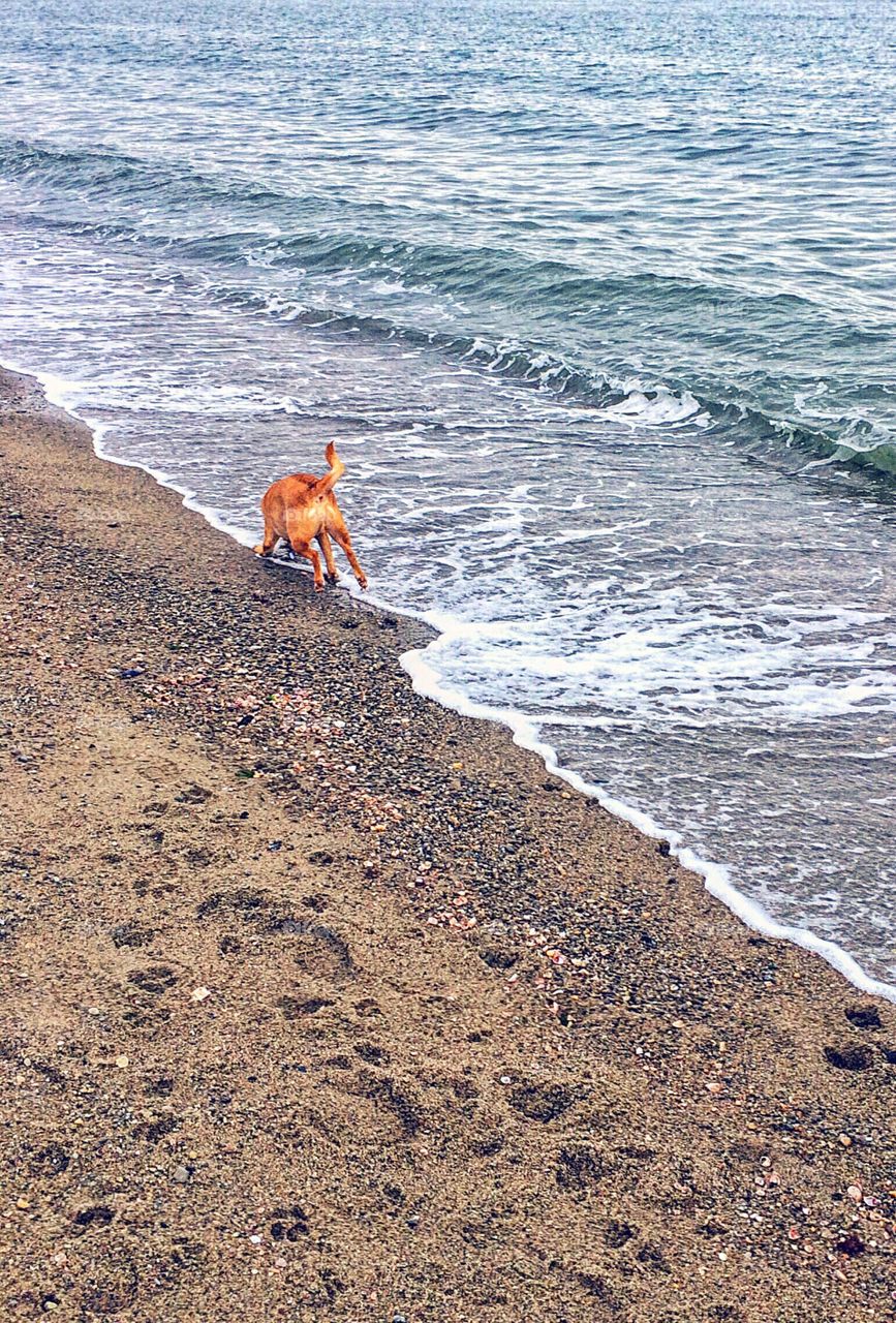 Jennings Beach, Fairfield CT...