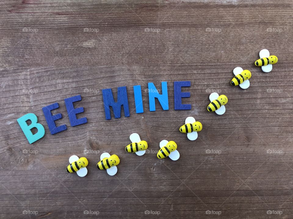 Bee mine composition with wooden letters and wooden bees