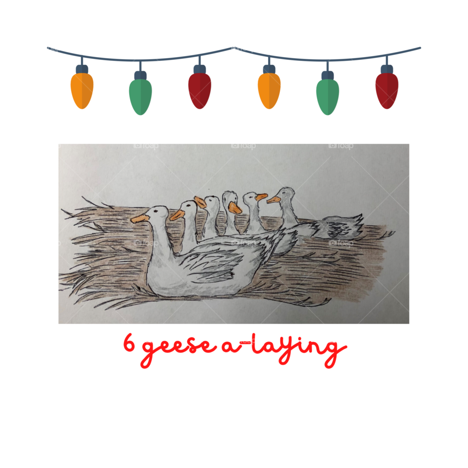 6 Geese a-Laying