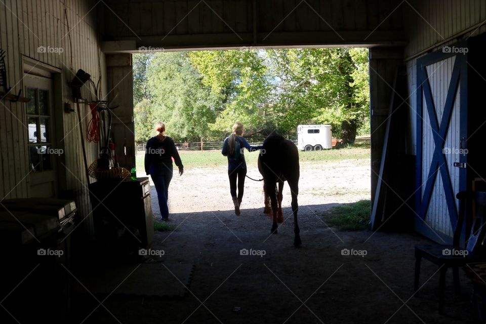 Barn Life