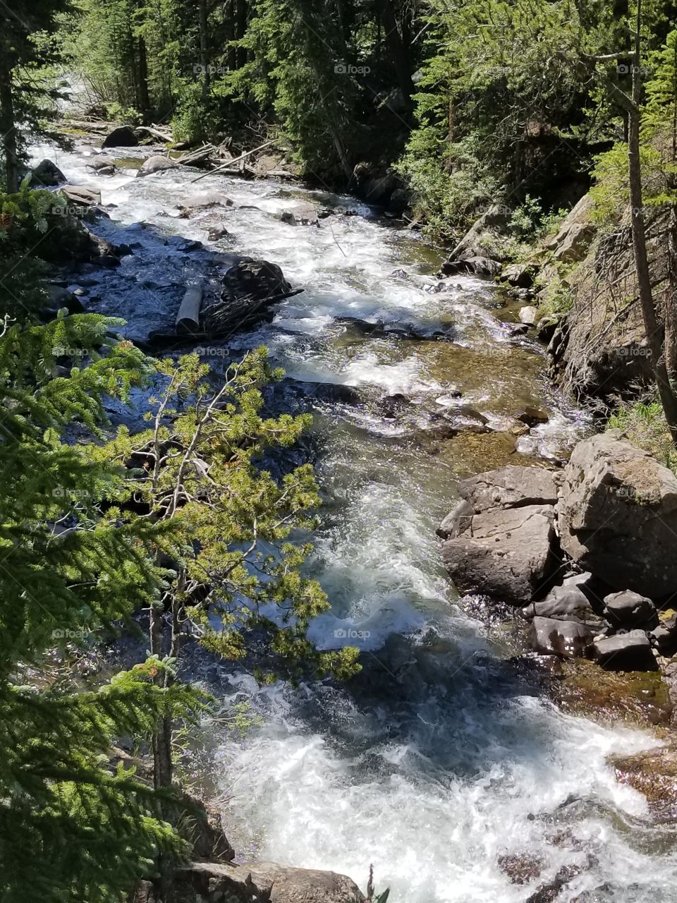 Colorado