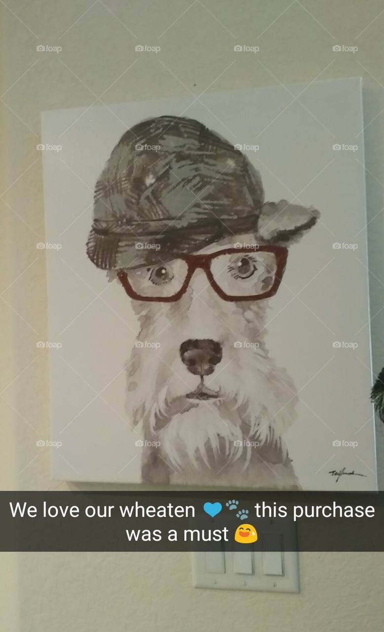 we kind of our obsessed with our wheaten. 🤗♥🐕🐾😍😚