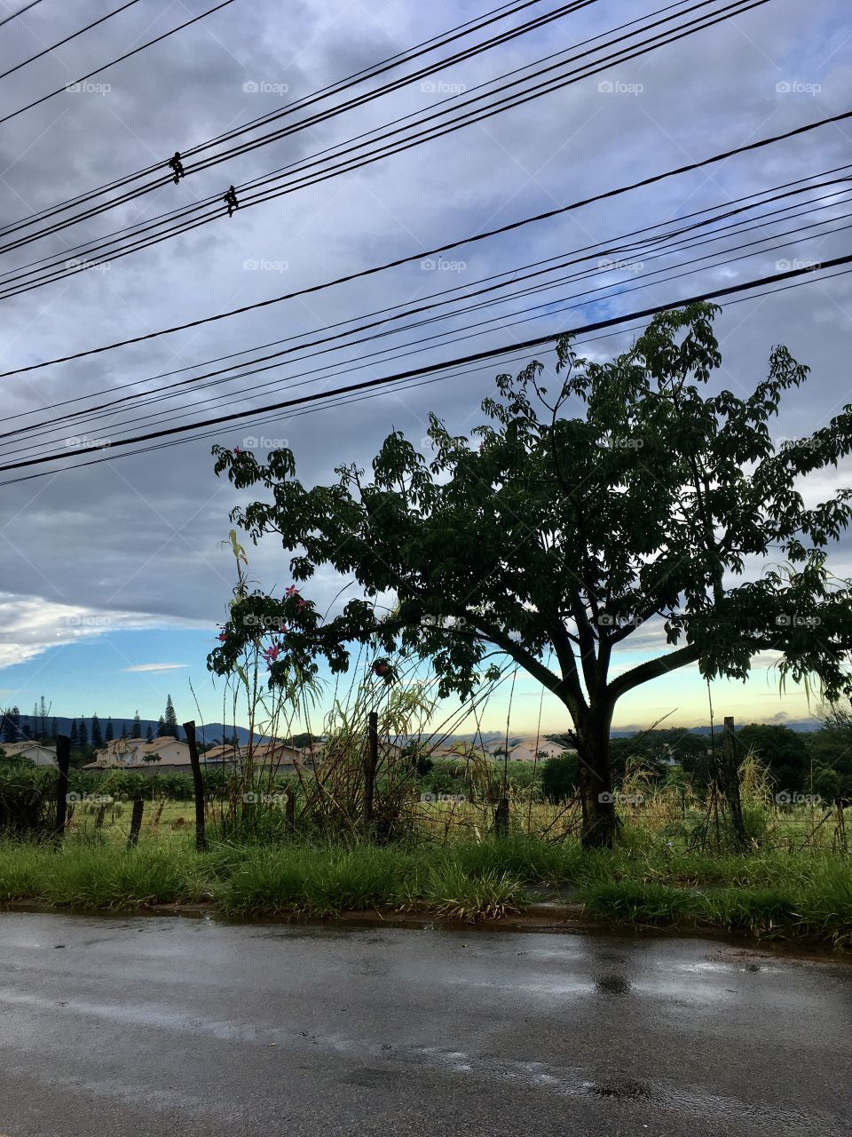 Mesmo com a manhã bonita de sol, uma nuvem carregada despencou por 10 minutos. O que ela fazia perdida por aqui? Ainda assim, a paisagem ficou bacana.
Que tal cenário sirva para nos inspirar!