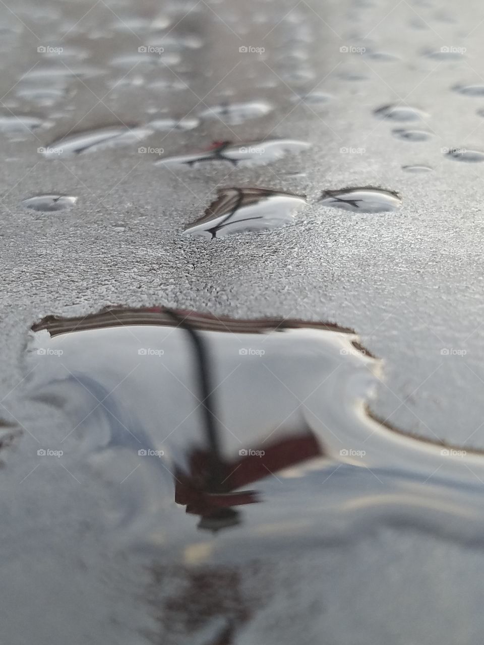 raindrops reflections