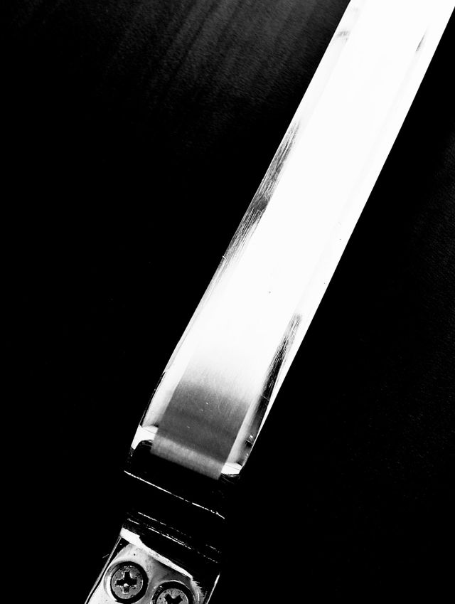 Stainless Steel