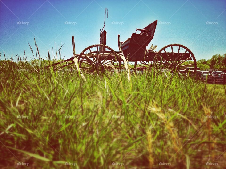 Amish Buggy