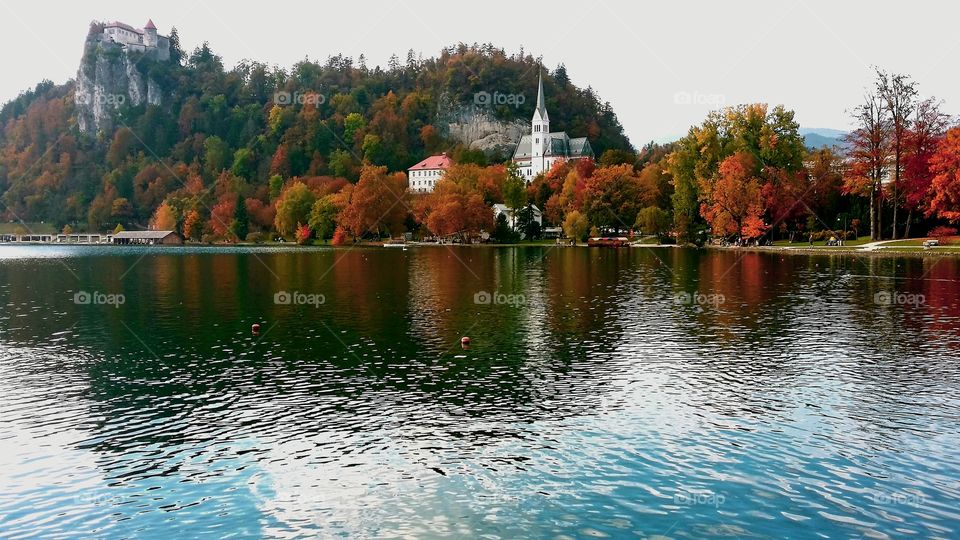 beautiful nature.  lake bled Slovenia