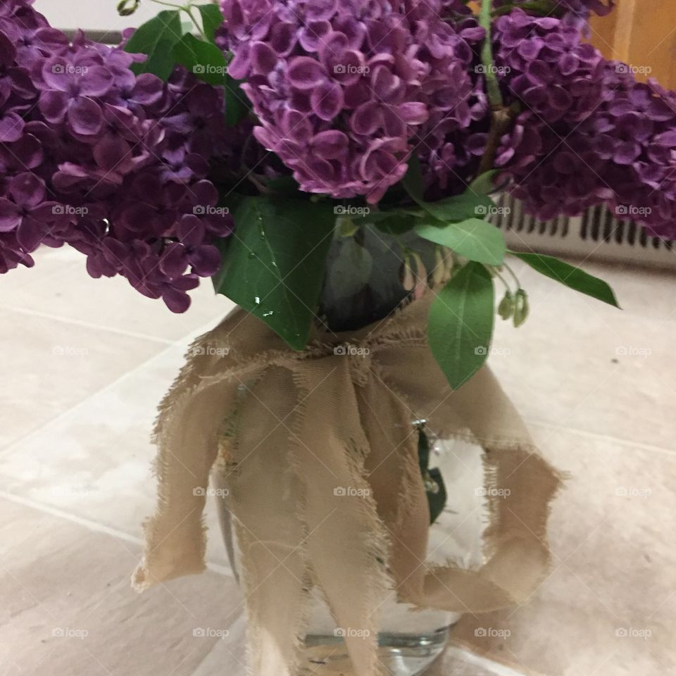 Close Up of Lilac Flowers with Ivory Bow, in a Glass Vase. @chelseamerkleyphotos Copyright © CM Photography May 2019.