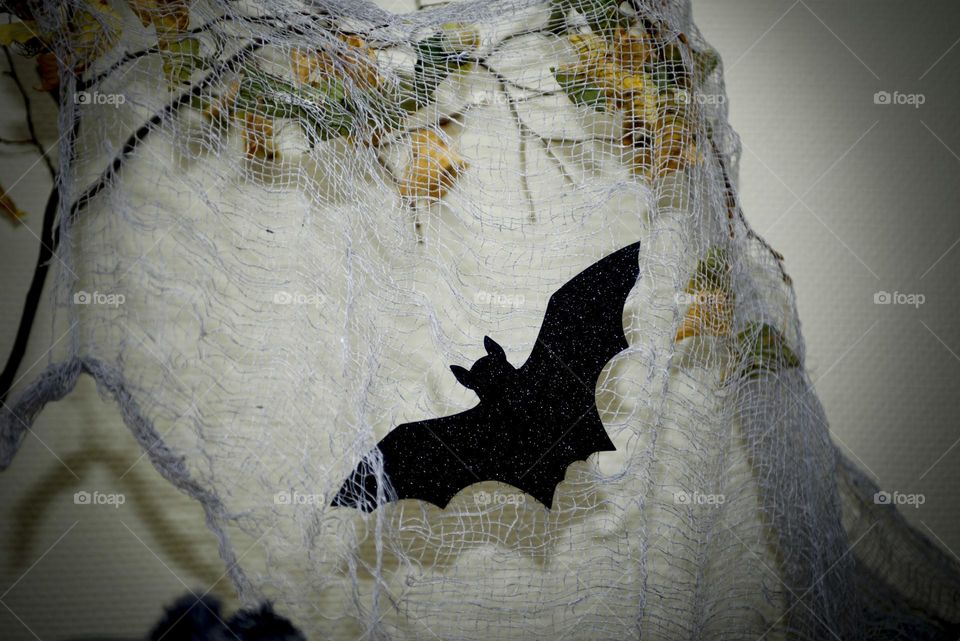 Decoration for Halloween.  Black bat on a web
