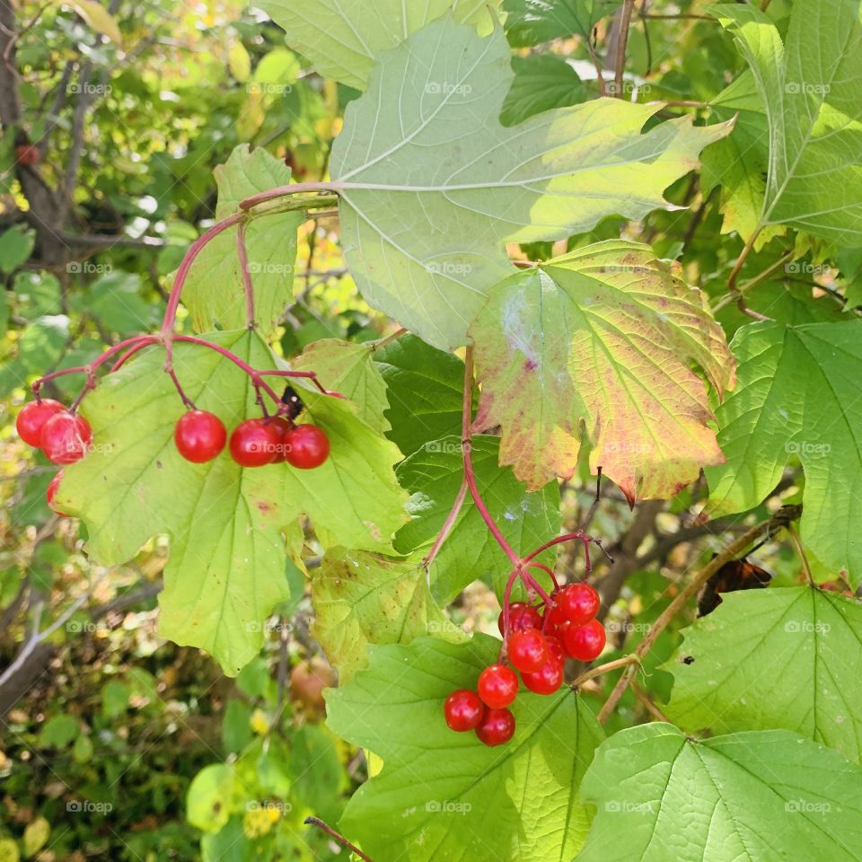 Beautiful nature 💖