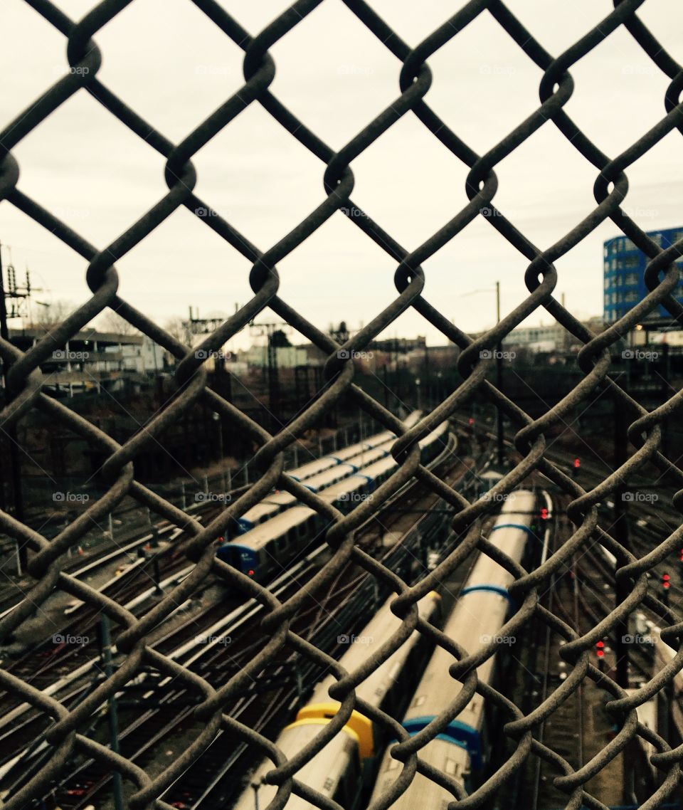 Just a random photo. 