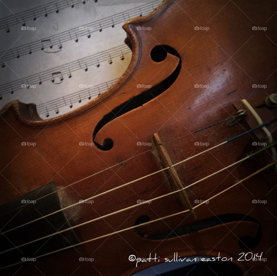 Love of violin...