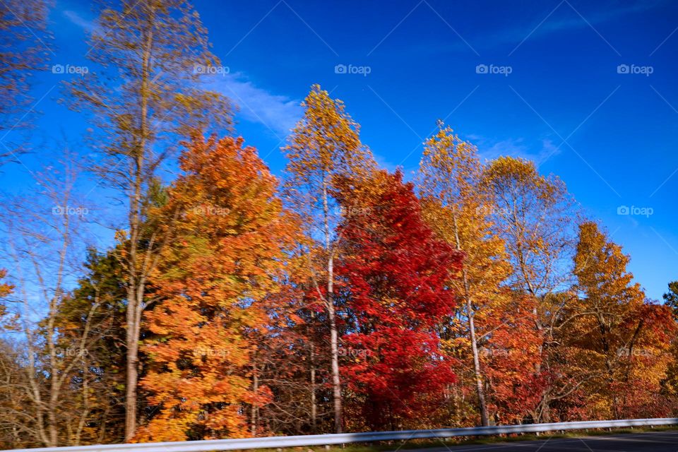 Highway Fall View * Vista de carretera en otoño