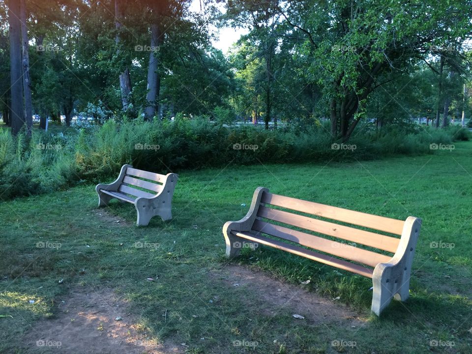 Bench in the park