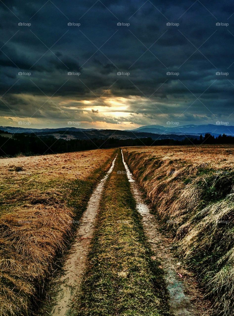 Sunset over the field