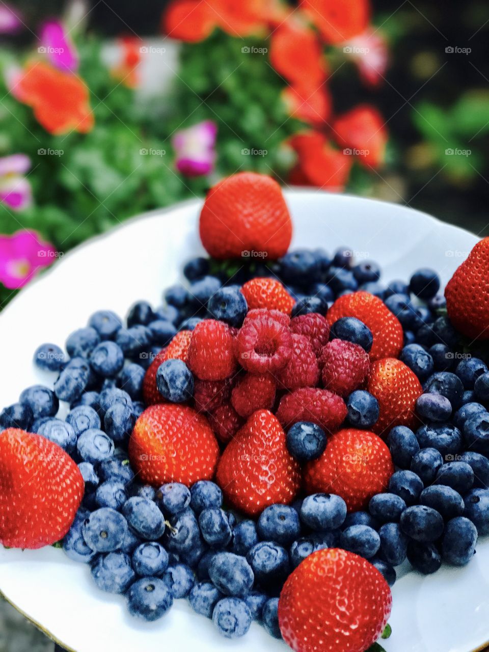 Fresh berries in plate