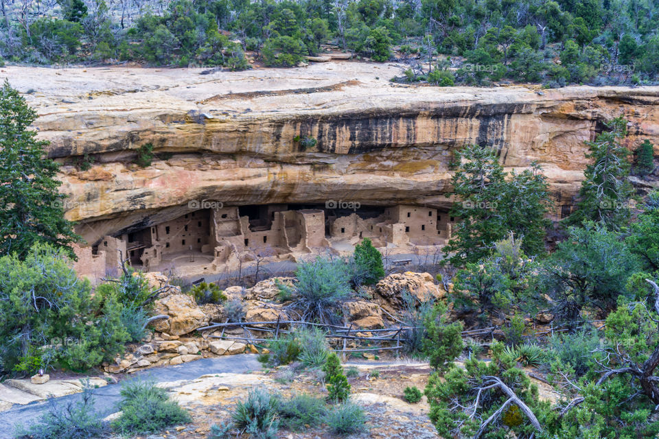 Mesa Verde 1