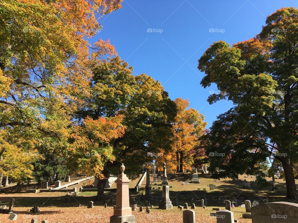 Cemetery in the fall