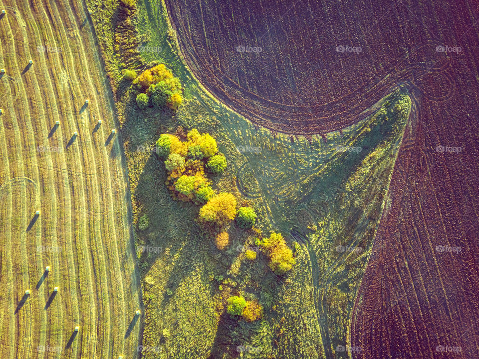 Aerial view of countryside landscape with field and trees